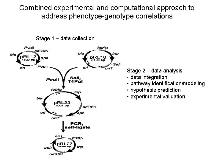 Combined experimental and computational approach to address phenotype-genotype correlations Stage 1 – data collection
