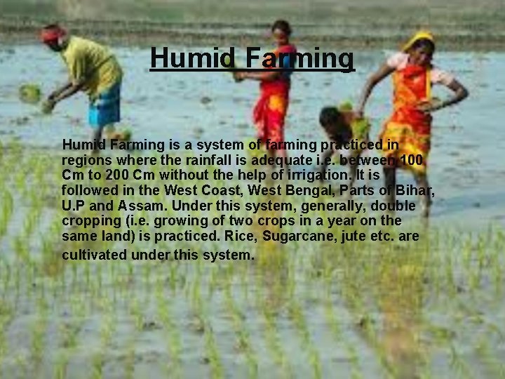 Humid Farming is a system of farming practiced in regions where the rainfall is