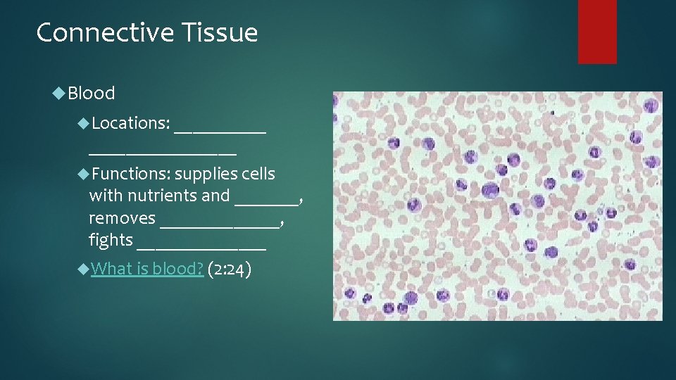 Connective Tissue Blood Locations: ________________ Functions: supplies cells with nutrients and _______, removes _______,