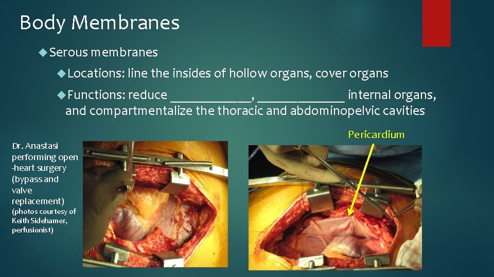Body Membranes Serous membranes Locations: line the insides of hollow organs, cover organs Functions: