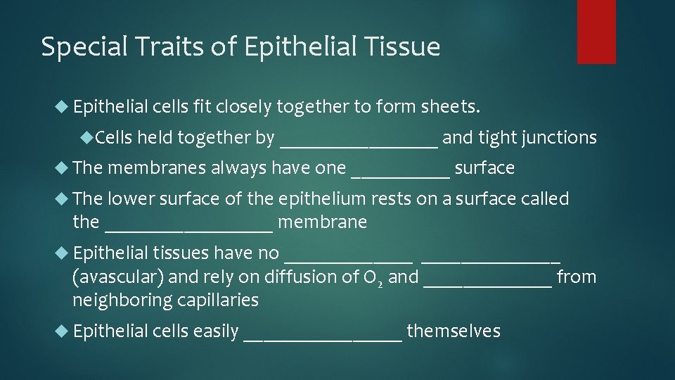 Special Traits of Epithelial Tissue Epithelial cells fit closely together to form sheets. Cells