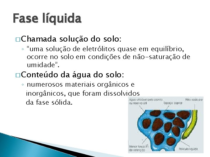 Fase líquida � Chamada solução do solo: � Conteúdo da água do solo: ◦