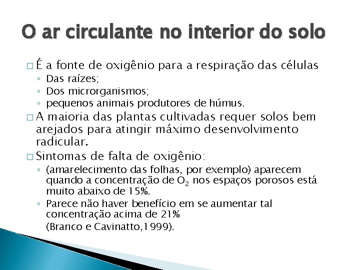 O ar circulante no interior do solo �É a fonte de oxigênio para a