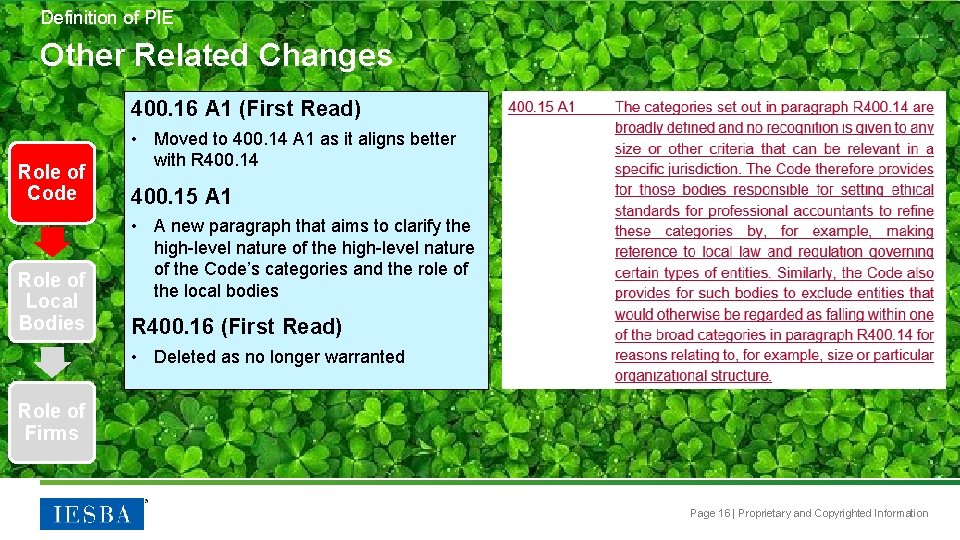 Definition of PIE Other Related Changes 400. 16 A 1 (First Read) Role of