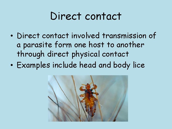 Direct contact • Direct contact involved transmission of a parasite form one host to