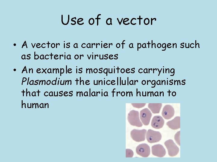 Use of a vector • A vector is a carrier of a pathogen such
