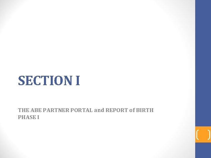 SECTION I THE ABE PARTNER PORTAL and REPORT of BIRTH PHASE I 