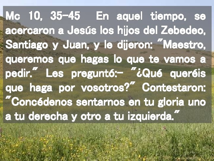 Mc 10, 35 -45 En aquel tiempo, se acercaron a Jesús los hijos del