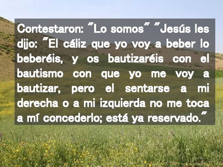 Contestaron: "Lo somos" "Jesús les dijo: "El cáliz que yo voy a beber lo