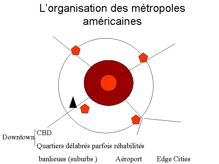 L’organisation des métropoles américaines Downtown CBD Quartiers délabrés parfois réhabilités banlieues (suburbs ) Aéroport