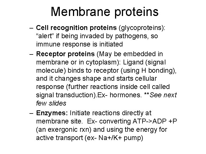 Membrane proteins – Cell recognition proteins (glycoproteins): “alert” if being invaded by pathogens, so