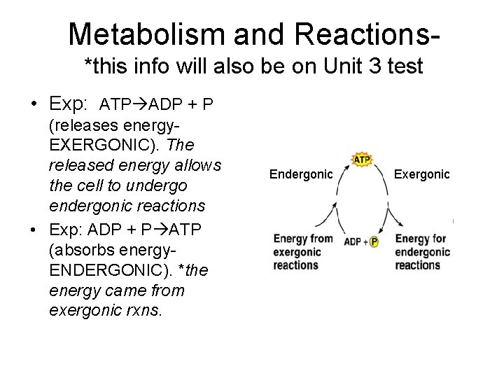 Metabolism and Reactions*this info will also be on Unit 3 test • Exp: ATP