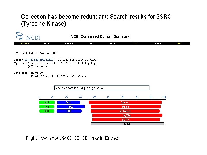 Collection has become redundant: Search results for 2 SRC (Tyrosine Kinase) Right now: about