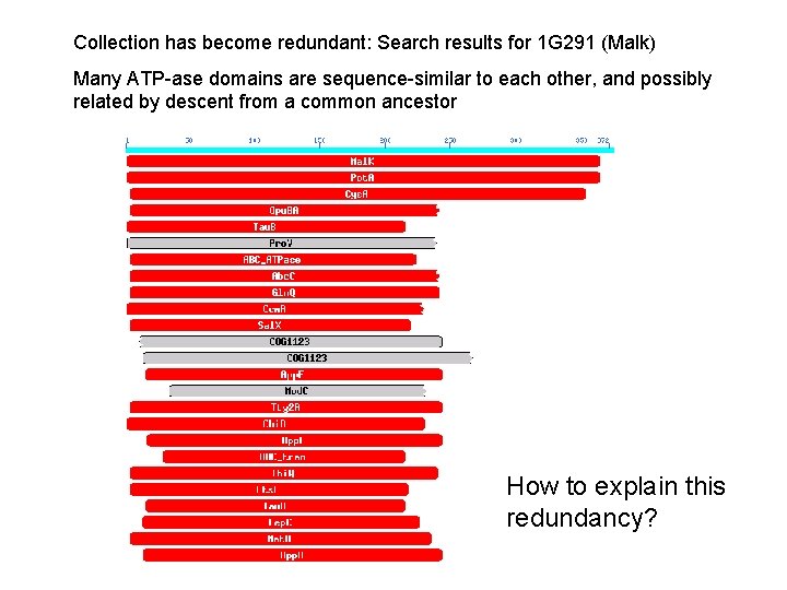 Collection has become redundant: Search results for 1 G 291 (Malk) Many ATP-ase domains