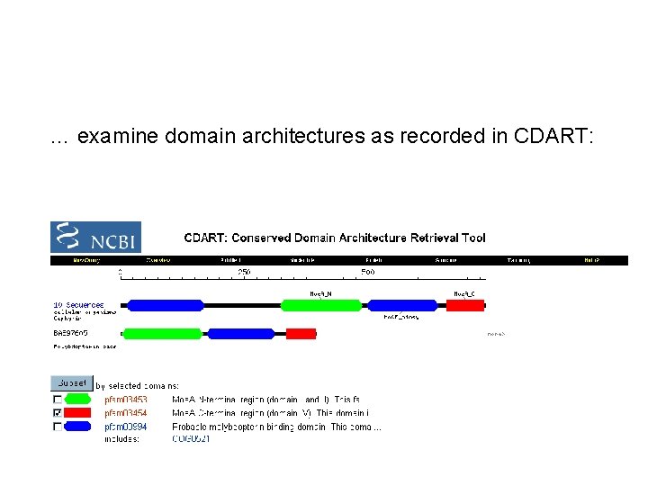 … examine domain architectures as recorded in CDART: 