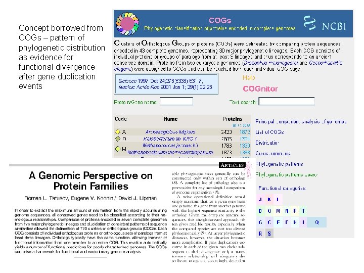 Concept borrowed from COGs – pattern of phylogenetic distribution as evidence for functional divergence