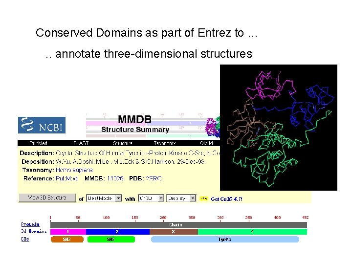 Conserved Domains as part of Entrez to …. . annotate three-dimensional structures 