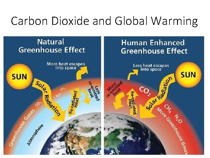 Carbon Dioxide and Global Warming 