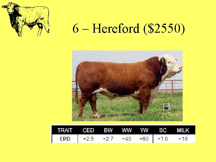 6 – Hereford ($2550) 