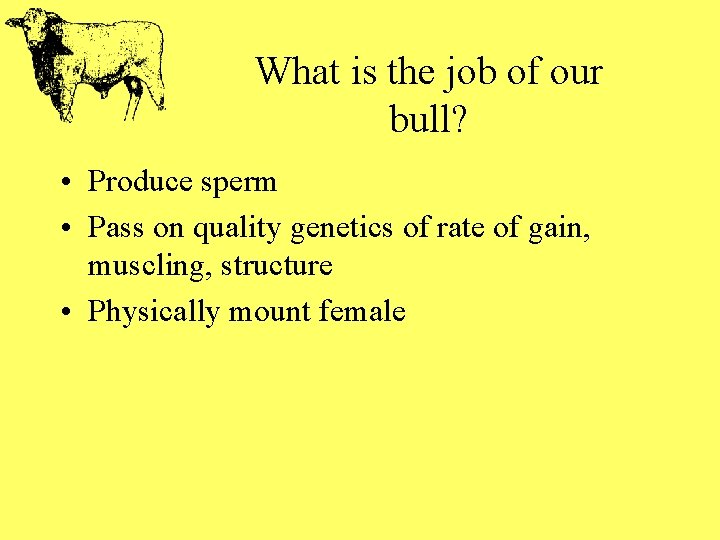 What is the job of our bull? • Produce sperm • Pass on quality