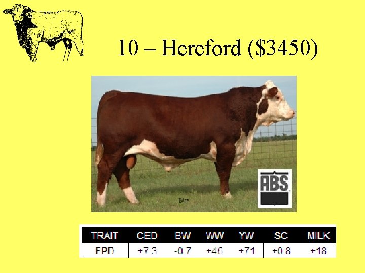 10 – Hereford ($3450) 
