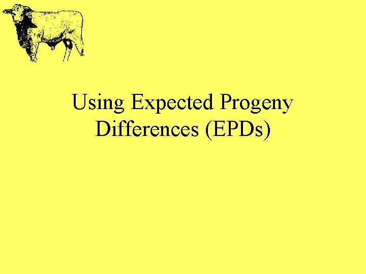 Using Expected Progeny Differences (EPDs) 