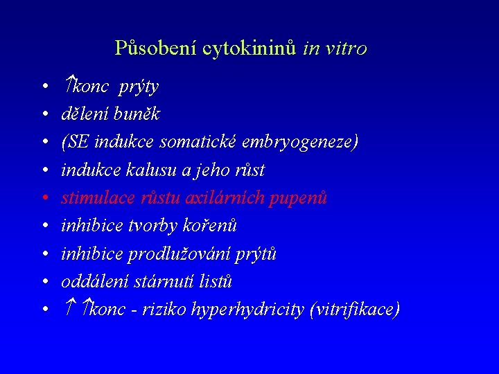 Působení cytokininů in vitro • • • konc prýty dělení buněk (SE indukce somatické