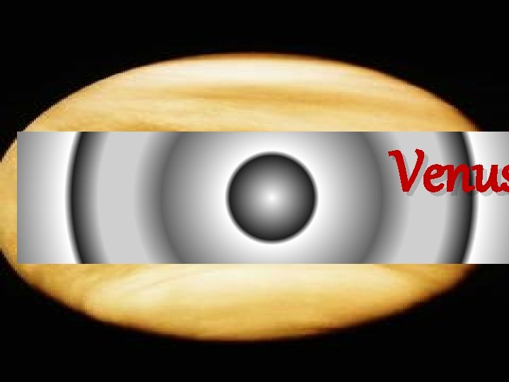 Venus 
