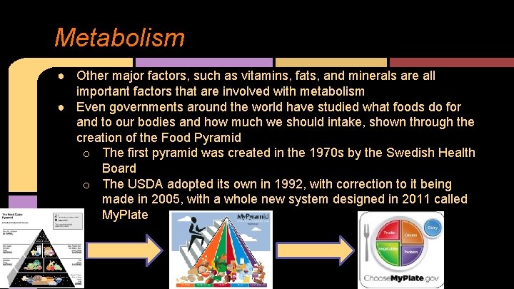 Metabolism ● Other major factors, such as vitamins, fats, and minerals are all important