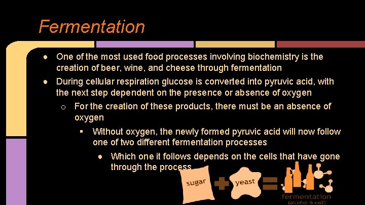 Fermentation ● One of the most used food processes involving biochemistry is the creation