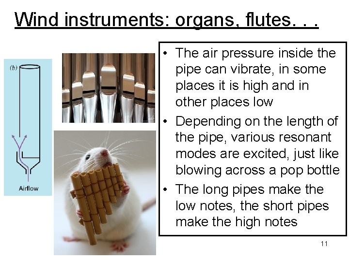 Wind instruments: organs, flutes. . . • The air pressure inside the pipe can