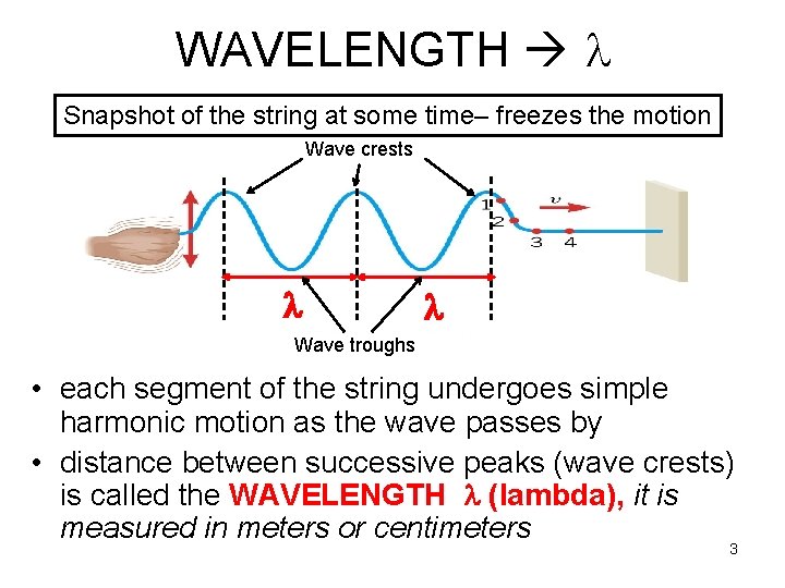 WAVELENGTH Snapshot of the string at some time– freezes the motion Wave crests Wave