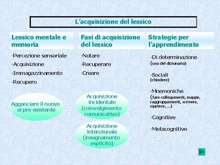 L’acquisizione del lessico Lessico mentale e memoria Fasi di acquisizione del lessico -Percezione sensoriale