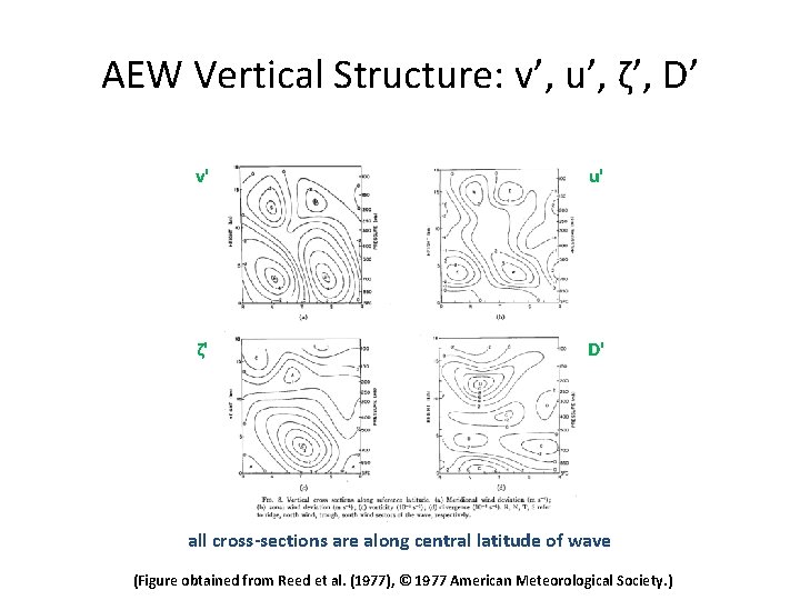 AEW Vertical Structure: v’, u’, ζ’, D’ v' u' ζ' D' all cross-sections are