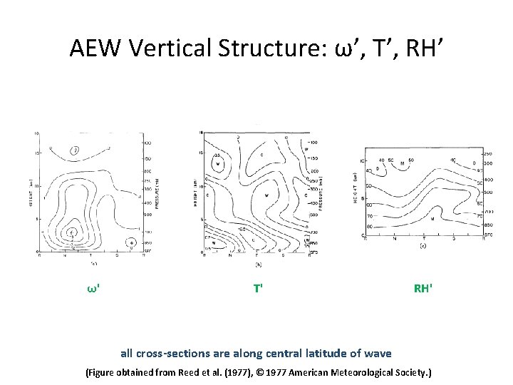AEW Vertical Structure: ω’, T’, RH’ ω' T' RH' all cross-sections are along central