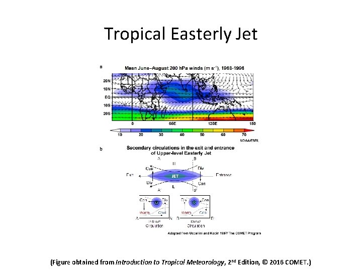 Tropical Easterly Jet (Figure obtained from Introduction to Tropical Meteorology, 2 nd Edition, ©
