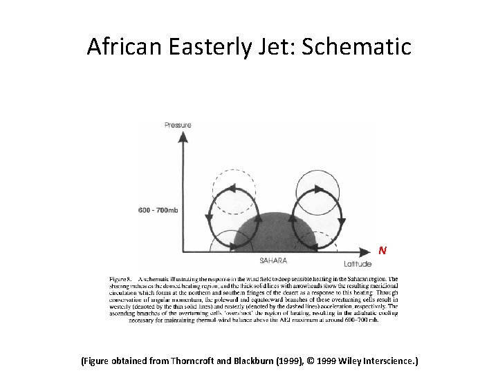 African Easterly Jet: Schematic N (Figure obtained from Thorncroft and Blackburn (1999), © 1999