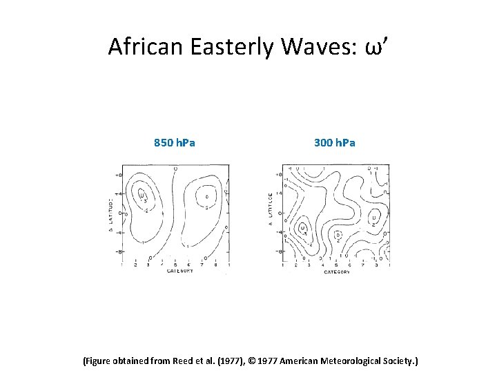 African Easterly Waves: ω’ 850 h. Pa 300 h. Pa (Figure obtained from Reed