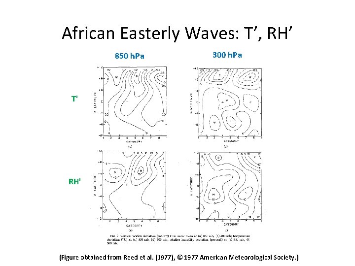 African Easterly Waves: T’, RH’ 850 h. Pa 300 h. Pa T' RH' (Figure