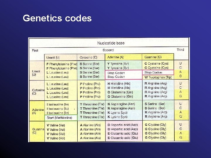 Genetics codes 
