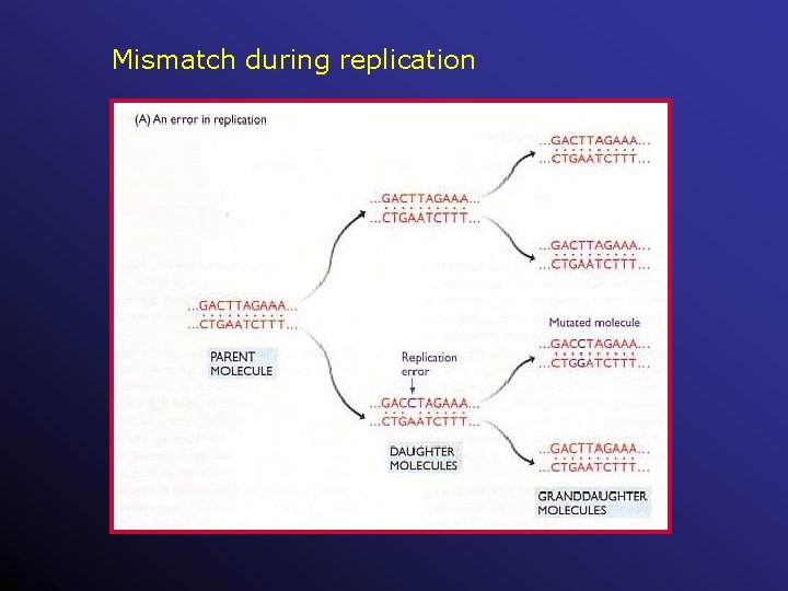 Mismatch during replication 