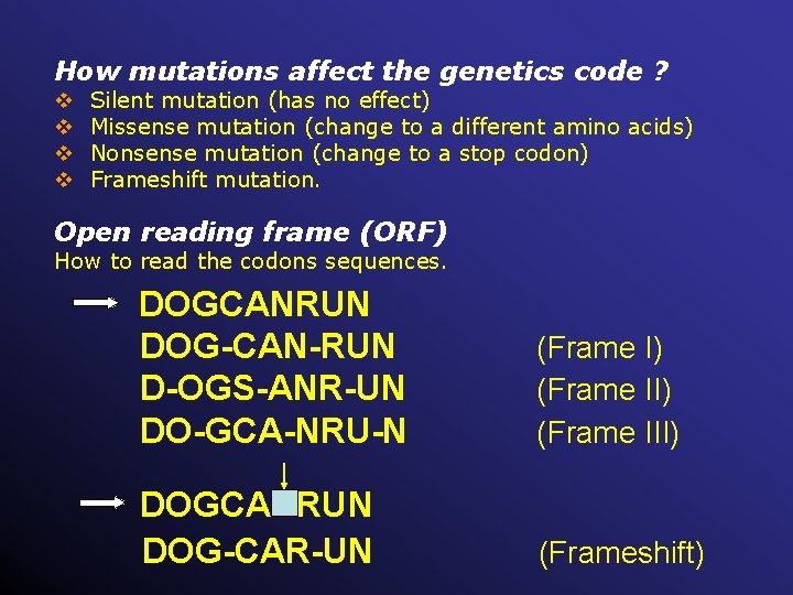 How mutations affect the genetics code ? v v Silent mutation (has no effect)