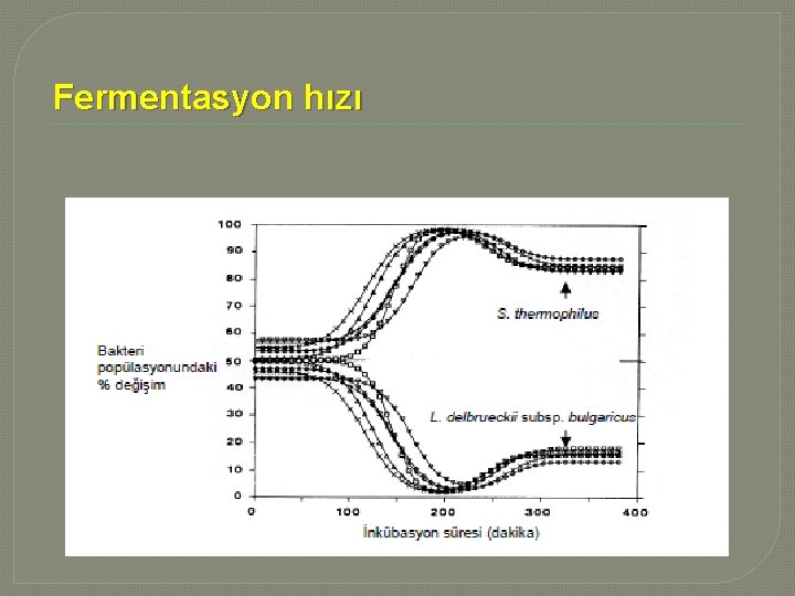 Fermentasyon hızı 