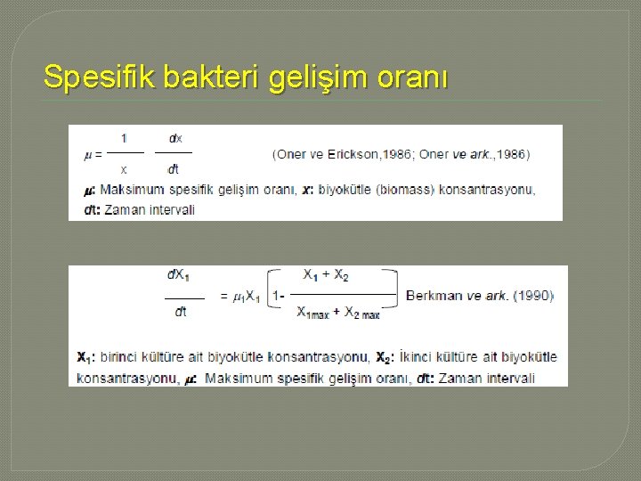 Spesifik bakteri gelişim oranı 