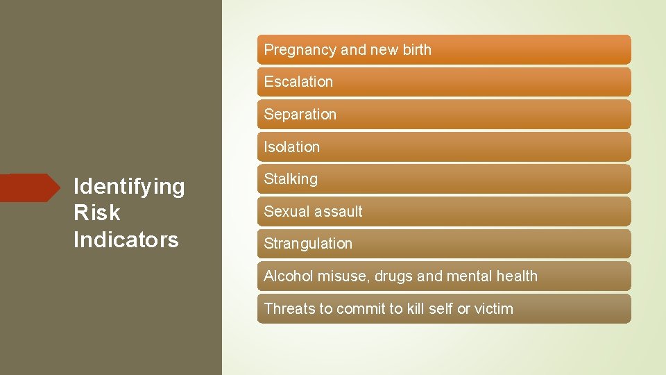 Pregnancy and new birth Escalation Separation Isolation Identifying Risk Indicators Stalking Sexual assault Strangulation
