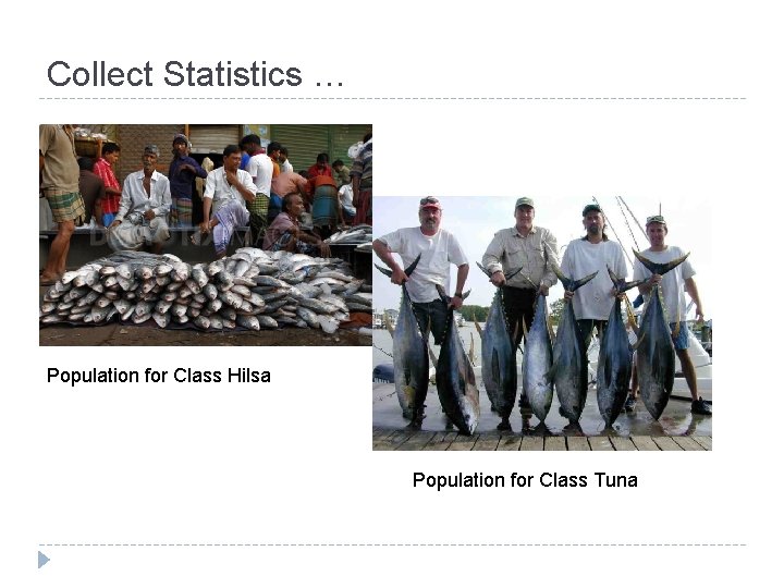 Collect Statistics … Population for Class Hilsa Population for Class Tuna Collect Statistics … Population for Class Hilsa Population for Class Tuna