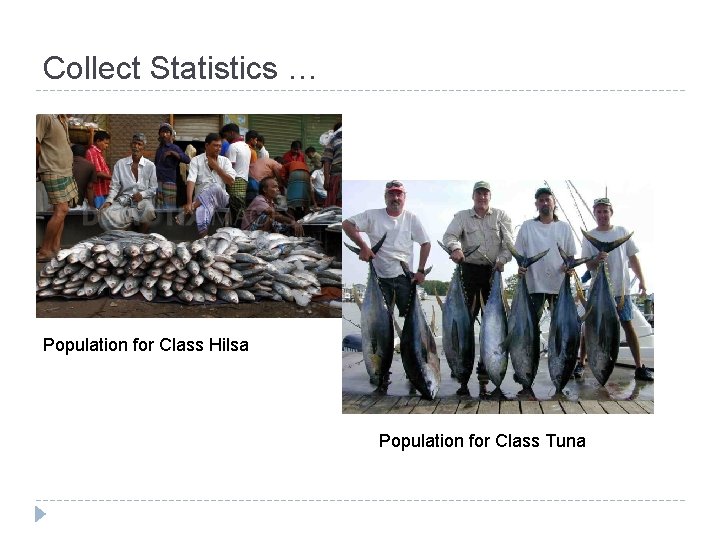 Collect Statistics … Population for Class Hilsa Population for Class Tuna 