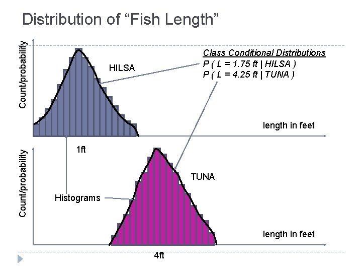 Count/probability Distribution of “Fish Length” Class Conditional Distributions P ( L = 1. 75 Count/probability Distribution of “Fish Length” Class Conditional Distributions P ( L = 1. 75