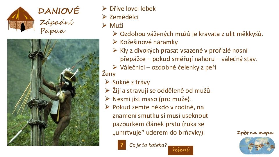 DANIOVÉ Západní Papua Ø Dříve lovci lebek Ø Zemědělci Ø Muži Ø Ozdobou vážených