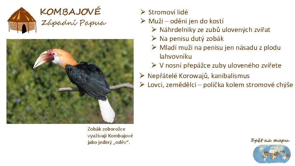 KOMBAJOVÉ Západní Papua Zobák zoborožce využívají Kombajové jako jediný „oděv“. Ø Stromoví lidé Ø
